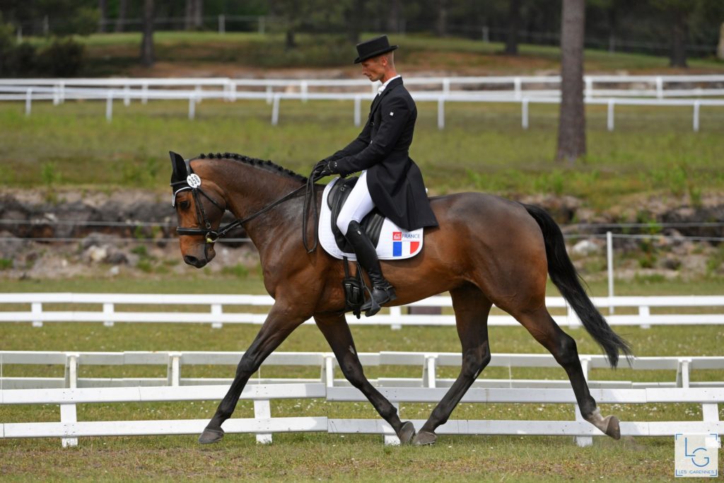 Christopher-six-hampton-p-syndicat-cavalier-concours-complet-international-membre-equipe-de-france-equitation (1)