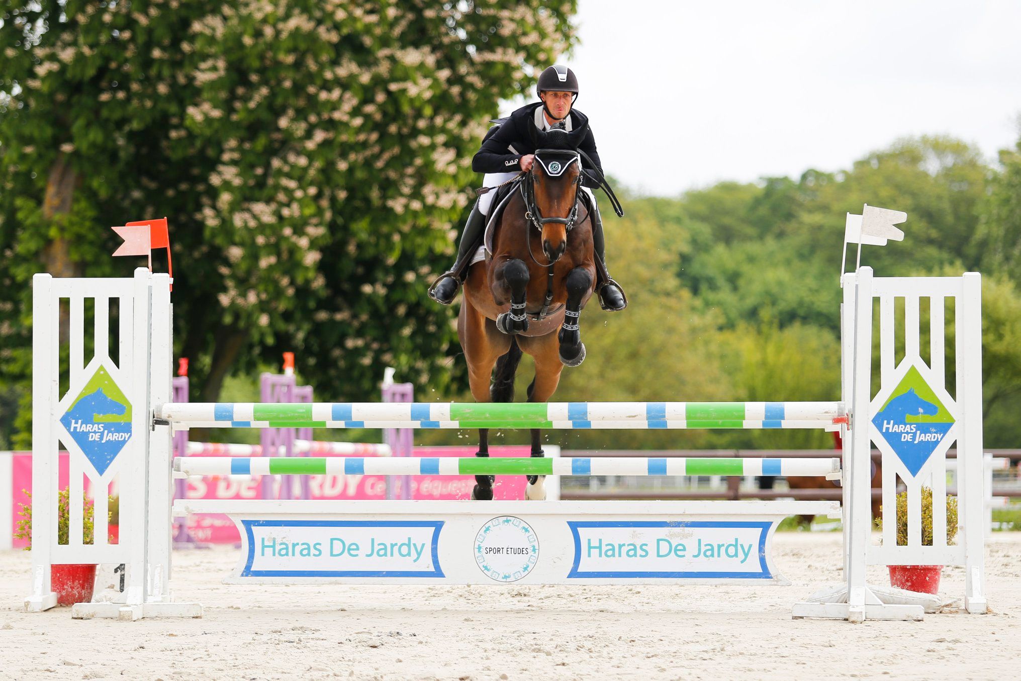 Christopher-six-hampton-p-syndicat-cavalier-concours-complet-international-membre-equipe-de-france-equitation (3)