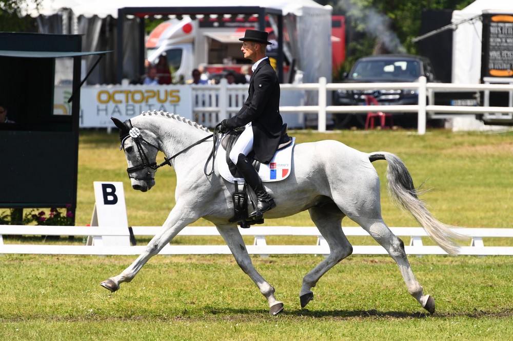 chevaux-a-vendre-christopher-six-totem-de-brecey-cci4etoile-long-saumur-2019-cavalier-concours-complet-pension-box-paddock-valorisation-coaching-gazeran-78 (6)