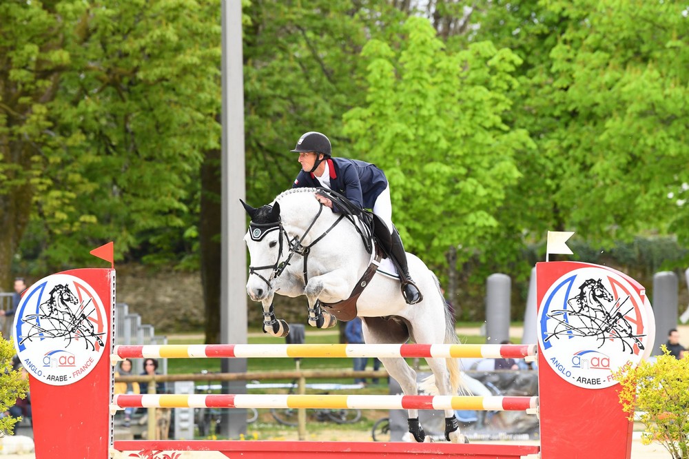 chevaux-a-vendre-christopher-six-totem-de-brecey-cci4etoile-long-saumur-2019-cavalier-concours-complet-pension-box-paddock-valorisation-coaching-gazeran-78 (7)