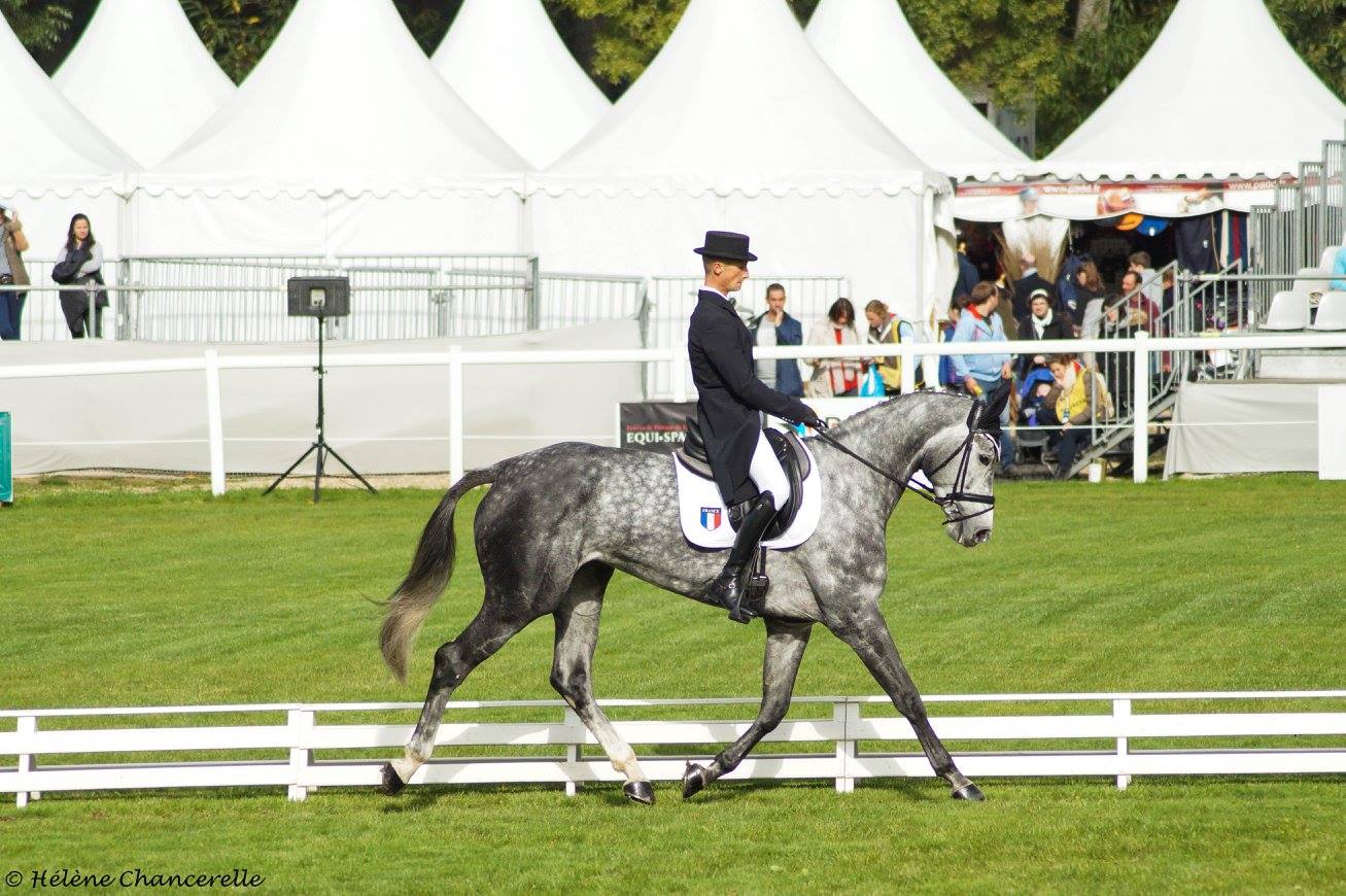 écurie-christopher-six-vanity-fair-cavalier-concours-complet-international-membre-equipe-de-france-pension-box-paddock-valorisation-coaching-gazeran-78 (7)