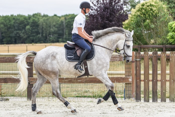 Christopher-six-cavalier-international-de-concours-complet-cavalerie-easter-snow-21b