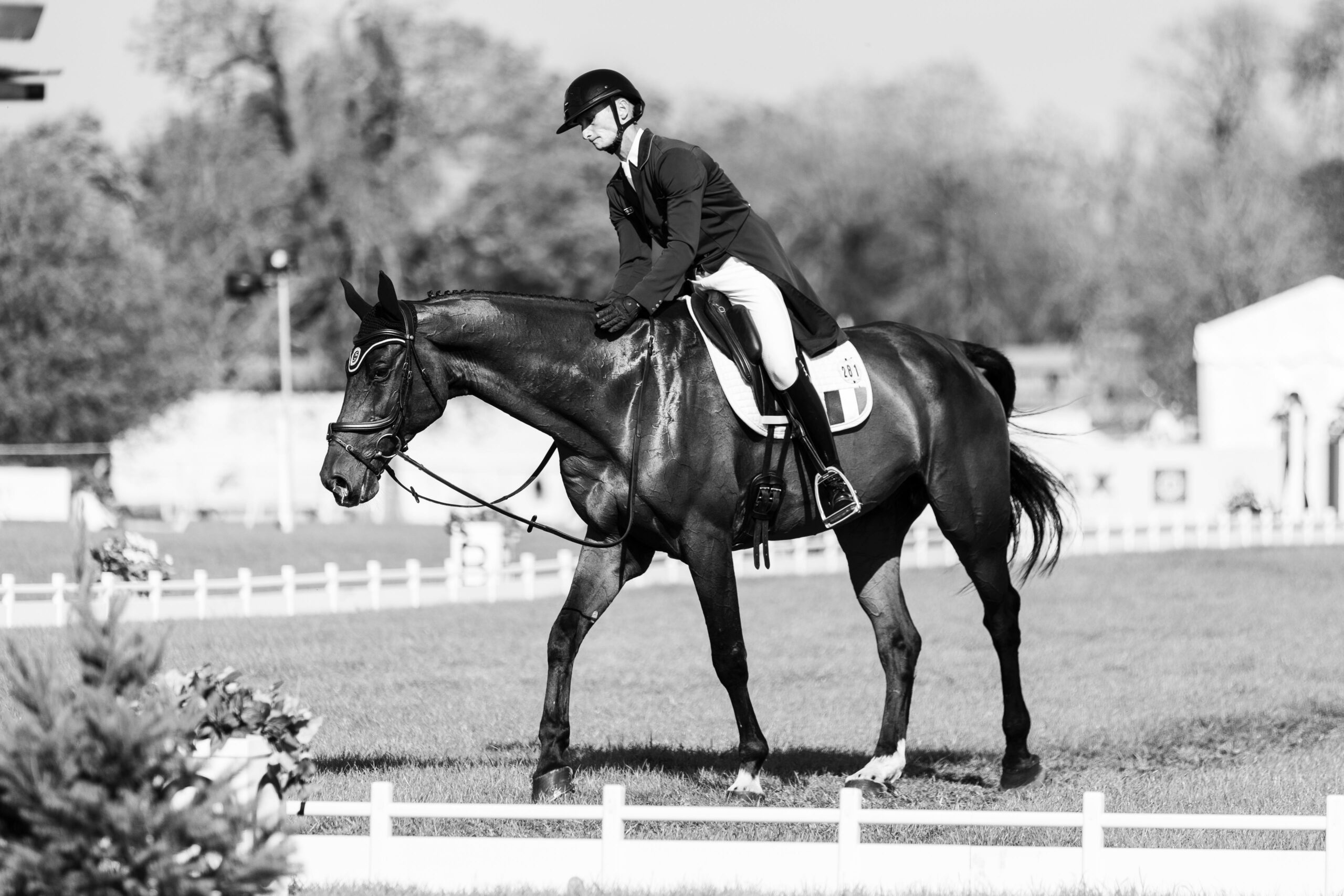 WhatsApp Image 2025-09-21 at 23.04.48